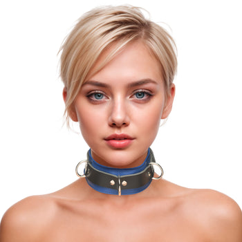 Strict Leather Black/Blue Locking Collar