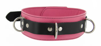 Black and Pink Locking Collar